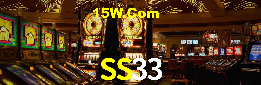 SS33