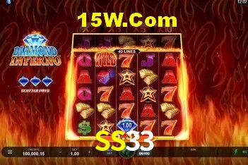 Login Seguro SS33